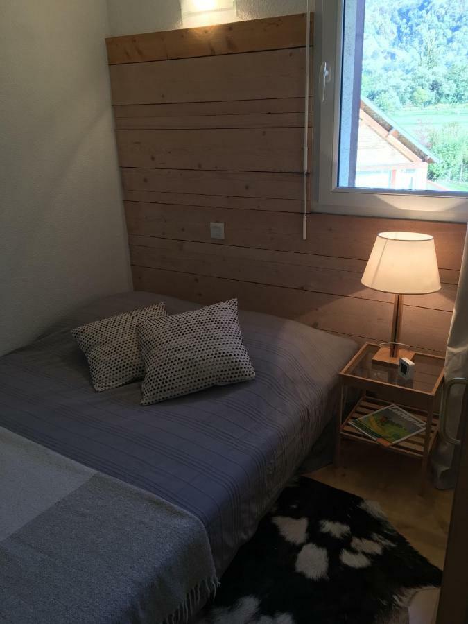 Appartement Les Pics D'Aran Bagneres-de-Luchon Ngoại thất bức ảnh